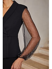  Women's Blouses Lapel Long Sleeve Illusion Sleeve Lantern Sleeve Elegant Casual Daily Mother Of The Bride Wedding Guest with Stretch Fabric Glitter Combo Black