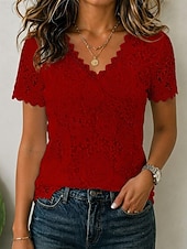  Women's Lace Tops Patchwork Eyelet Lace Trim Elegant Short Sleeve V Neck Casual Blue White Black Pink Red Summer Fall
