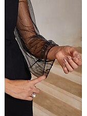  Women's Blouses Lapel Long Sleeve Illusion Sleeve Lantern Sleeve Elegant Casual Daily Mother Of The Bride Wedding Guest with Stretch Fabric Glitter Combo Black