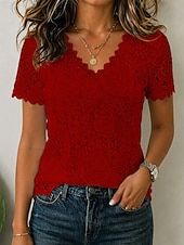  Women's Lace Tops Patchwork Eyelet Lace Trim Elegant Short Sleeve V Neck Casual Blue White Black Pink Red Summer Fall
