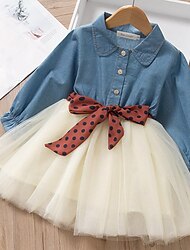 Kids Girls' Polka Dots Dress Denim Dress Outdoor Tulle Light Blue Active Casual Comfortable Dresses Children's Day Fall Spring 2-6 Years / Cute