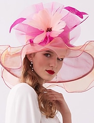 Fascinatoren Hüte Kopfbedeckungen Organza Polyester / Polyamid Fischerhut Strohhut Sonnenhut Casual Festtage Melbourne-Cup Cocktail Royal Astcot Vintage-Stil Elegant Mit Feder Applikationen