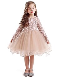 Kids Girls' Embroidered Flowers Dress Mesh Tulle Dress Casual Floral Blushing Pink Above Knee Long Sleeve Elegant Lace Princess Dresses Fall Spring 2-8 Years / Summer / Cute