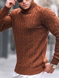 Herren Pullover Rollkragenpulli Gerippt Gedrehtes Stricken Cropped Strick Feste Farbe Rollkragen warm halten Moderne zeitgenössische Arbeit Freizeitskleidung Bekleidung Herbst Winter Wein Schwarz M L