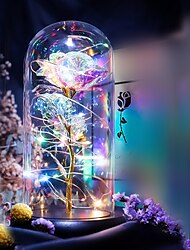 Artificial Flowers Rose eternal rose in glass LED Dome Decor Valentines Day Gifts for Women Girlfriend Wife Mothers Day Wedding