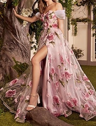 A-Line Prom Dresses Floral Dress Formal Wedding Guest Sweep / Brush Train Sleeveless Off Shoulder Lace with Floral Print 2024