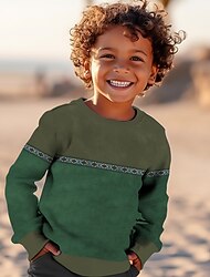 Băieți 3D Grafic Geometric Bloc Culoare Hanorca Manșon Lung Tipărire 3D Vară Toamnă Epocă Imprimeu 3D Designer Copii 3-12 ani În aer liber Casual Zilnic Fit regulat