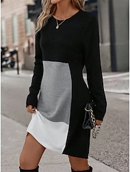 Dames Sweaterjurk Casual jurk Mini-jurk Warm Actief Buiten Uitgaan Weekend Strakke ronde hals Afdrukken Geometrisch Kleurenblok Ruim Passend Zwart Blozend Roze Rood S M L XL XXL
