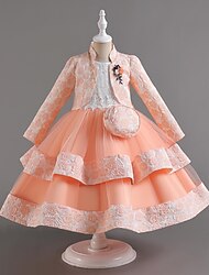 Kids Girls' Party Dress Flower Long Sleeve Formal Wedding Special Occasion Ruched Mesh Elegant Fashion Princess Cotton Polyester Midi Party Dress Floral Embroidery Dress Flower Girl's Dress Spring