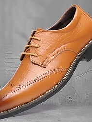 Per uomo Oxford Scarpe derby Scarpe formali Scarpe Bullock Scarpe da sera Footing Vintage Lavoro Gentiluomo britannico Matrimonio Ufficio e carriera Serata e festa PU Mocassino Nero Bianco Marrone