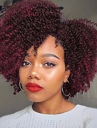 Short Kinky Curly Wigs Side Part Afro Curly Wig for Black Women Twist Out African American Synthetic Wigs