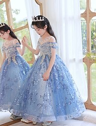 Bloemenmeisjesjurk kinderen Voor meisjes Prinses jurk Prestatie Bruiloft Feest Elegant Mooi Pailletten Netstof Effen Kleur Mouwloos Strakke ronde hals Champagne blauw 4 jaar +