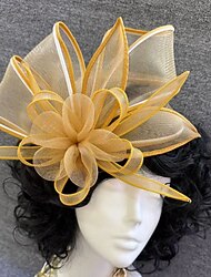 Elegant Derby Kopfschmuck Faszination Dame Kostüm Damen Karneval Party Derby Hochzeitsfeier Erwachsene Fascinator Frühling & Sommer