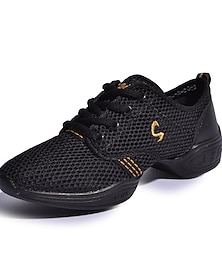 cheap -Women's Dance Sneakers Ballroom Shoes Practice Trainning Dance Shoes Performance HipHop Double-Sided Mesh Low Heel Lace-up Black / Gold White Fuchsia