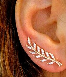abordables -1 paire Boucles d'oreille Clou Grimpeurs d'oreille For Femme Zircon Mariage Travail du quotidien Alliage Forme de Feuille