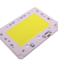 economico -100 w ad alta potenza cob led chip lampadina 220 v ingresso smart ic per diy esterna luce di inondazione riflettore freddo bianco caldo (1 pezzo)