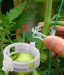 levne -50pcs rostlina révy pevný klip svázaný spony řemínek hák zemědělský skleník zeleniny gadget zahrada plastový květináč trelli