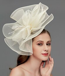 economico -Fascinatori in rete  Diadema  Copricapo con piuma  Fiore  Orlo 1 PC Matrimonio  Occasione speciale  Copricapo per festa del tè Abito da impressionare Fascinatori Abito per giorno delle corse