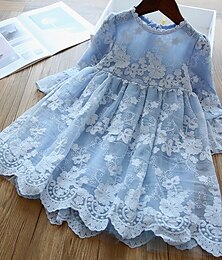 preiswerte -kinderkleidung Mädchen Kleid Einfarbig Langarm Gitter Bestickt Kuschelig Polyester Knielang 2-8 Jahre Weiß Blau