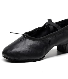 billige -Women's Ballet Shoes Ballroom Shoes Training Performance Practice Heel Thick Heel Elastic Band Slip-on Black Rosy Pink Red