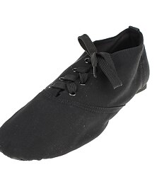 economico -Per uomo Scarpe per danza jazz Fai pratica con le scarpe da ballo Palco Prestazioni Ballerine Sneaker Piatto Con lacci intrecciali Bianco Nero Rosso