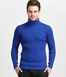 preiswerte -Herren Rollkragenpulli Pullover Wollpullover Rollkragenpullover für Herren Stricken Streifen Strick Feste Farbe Rollkragen Stilvoll Vintage-Stil Täglich Bekleidung Herbst Winter Wein Schwarz M L XL