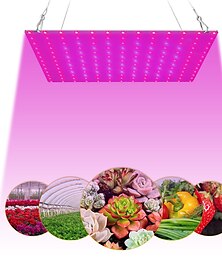 Χαμηλού Κόστους -1pc 81leds 169 leds led led grow light light plant grow red blue full spectrum for indoor hydroponic plant