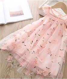 billiga -Barn Flickor Klänning Blomma Ärmlös Skola Dagligen Nät Broderad Elegant Ljuv Bomull Sommar Vår Höst 3-10 år Rodnande Rosa Grå