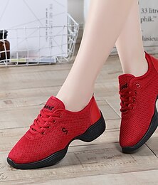 cheap -Women's Dance Sneakers Practice Trainning Dance Shoes Stage Performance HipHop/Square Dance Mesh Thick Heel Lace-up White Black Red