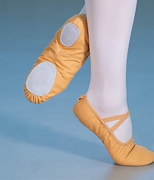 billige -Women's Ballet Shoes Practice Trainning Dance Shoes Chinese Dance Performance Yoga Split Sole Simple Style Solid Color Flat Heel Elastic Band Slip-on Black Pink Camel / Girls'