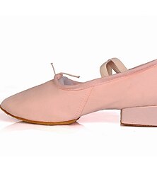 cheap -Women's Ballet Shoes Practice Trainning Dance Shoes Training Indoor Performance Heel Thick Heel Elastic Band Slip-on Adults' White Black Rosy Pink