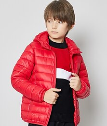 billiga -Pojkar 3D Slät Kappa Långärmad Vinter Aktiv Häftig Polyester Barn 3-13 år Sport Normal
