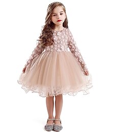 Недорогие -Детское кружевное платье принцессы с цветочным рисунком для девочек, торжественное платье для выступлений, одежда