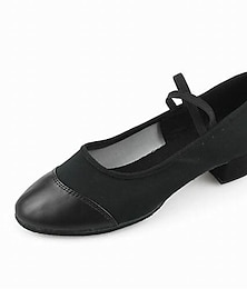 cheap -Women's Ballroom Dance Shoes Modern Shoes Salsa Shoes Line Dance Performance Ballroom Dance Waltz Oxford Solid Color Low Heel Elastic Band Slip-on Black