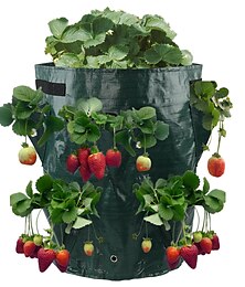 voordelige -verticale kweekzakken voor het planten van aardbeien kweekzakken met 10 zakplantenbak kweekzak - tuinieren muur hangend groenteplantgereedschap