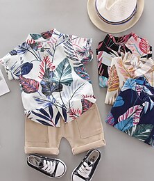 preiswerte -Jungen 3D Blatt Shirt & Shorts Kleidungsset Kurzarm Sommer Frühling Täglich Brautkleider schlicht Baumwolle kinderkleidung 1-4 Jahre Outdoor Innen Regular Fit