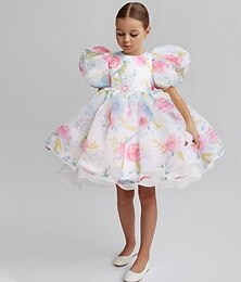 cheap -Kids Girls' Dress Tie Dye Short Sleeve Party Ruched Mesh Puff Sleeve Cute Princess Polyester Knee-length A Line Dress Tulle Dress Summer Spring 2-8 Years White Pink Dusty Rose