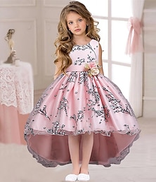 cheap -Kids Girls' Dress Floral Solid Colored Sleeveless Wedding Party Ruched Mesh Cute Princess Polyester Asymmetrical Floral Embroidery Dress A Line Dress Tulle Dress Summer Spring 3-12 Years Pink Wine