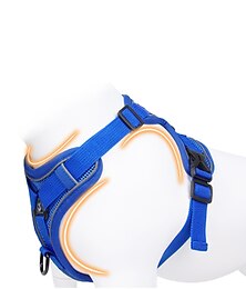お買い得  -犬猫ペットハーネスリーシュポータブル耐久性のある安全屋外ウォーキングレターポリエステル小型犬ブルー1pc