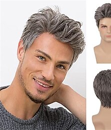 cheap -Mens Wigs Grey Short Layered Wig Syntheric Replacement Cosplay Costume Party Daily Wear Hair Wig