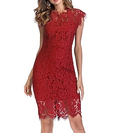 ieftine -Pentru femei Rochii Midi Rochie de dantela Rochie de petrecere Bodycon Rochie teacă Elegant Stilat Birou Petrecere Muncă Ieșire Fit regulat Culoare pură Fără manșon Stil Nautic Roșu Vin Roșu-aprins
