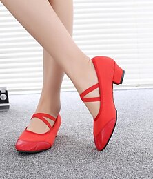 cheap -Women's Ballroom Shoes Modern Shoes Stage Practice Outdoor Heel Thick Heel Elastic Band Black Red