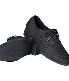 abordables -Hombre Zapatos de Baile Latino Zapatos de Jazz Zapatos de Baile Moderno Plano Tacón Bajo Fondo de piel interior Suela de goma al aire libre