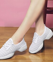 cheap -Women's Dance Sneakers Line Dance Professional HipHop Cheerleading Flat Split Sole Practice Mesh Flat Heel Lace-up Black White