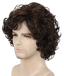 cheap -Funny mens Wig Mens Short Curly Brown Wig Anime Cosplay Wigs Cosplay Hair Wig