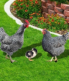 abordables -Acrílico 3d simulación gallo patio toma de tierra yarda arte jardín decoración al aire libre