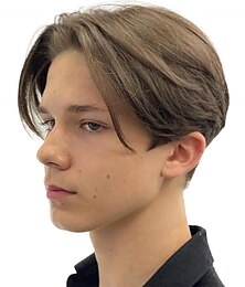 cheap -Short Straight Synthetic Wig Realistic Natural Side Part Wigs for Men Carnival Wig