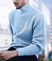 abordables -Homme Pull Chandail Pull à col roulé Pullover torsadé Tricoter Tricoté Couleur unie Col Roulé mode Extérieur Intérieur Vêtement Tenue Hiver Noir Vin S M L