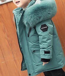 billiga -Pojkar 3D Slät Ner Pufferjacka Långärmad Höst Vinter Aktiv Häftig Barn 3-10 år Semester Dagligen Normal