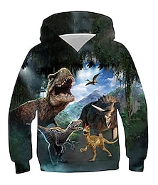 cheap -Boys 3D Animal Dinosaur Hoodie Long Sleeve 3D Print Fall Winter Active Sports Fashion Polyester Kids 3-13 Years Outdoor Daily Indoor Regular Fit